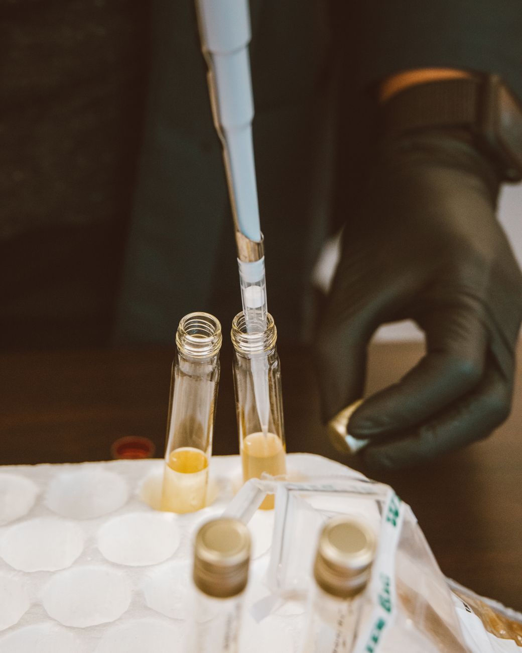 Scientist testing water samples